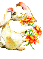 Hares easter graphics
