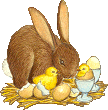 Hares easter graphics