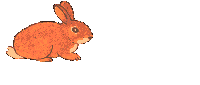 Hares easter graphics