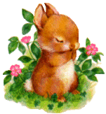 Hares easter graphics