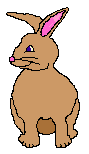 Hares easter graphics