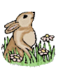 Hares easter graphics