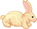Hares easter graphics