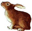 Hares easter graphics