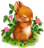 Hares easter graphics