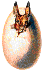 Hares easter graphics