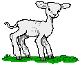 Sheep easter graphics