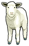 Sheep easter graphics