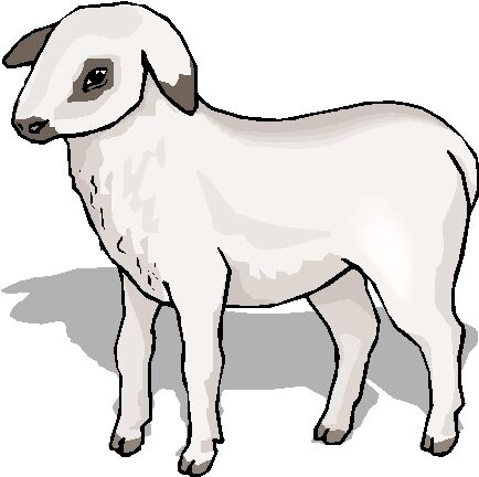 Sheep easter graphics