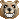 Bears emoticons