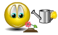 Flowers emoticons