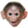 Monkeys emoticons