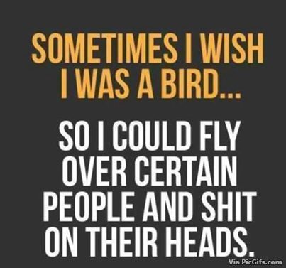 Beautiful lyrics facebook graphics