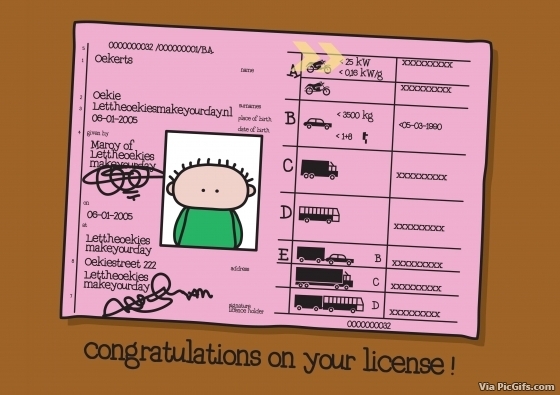 Drivers license facebook graphics