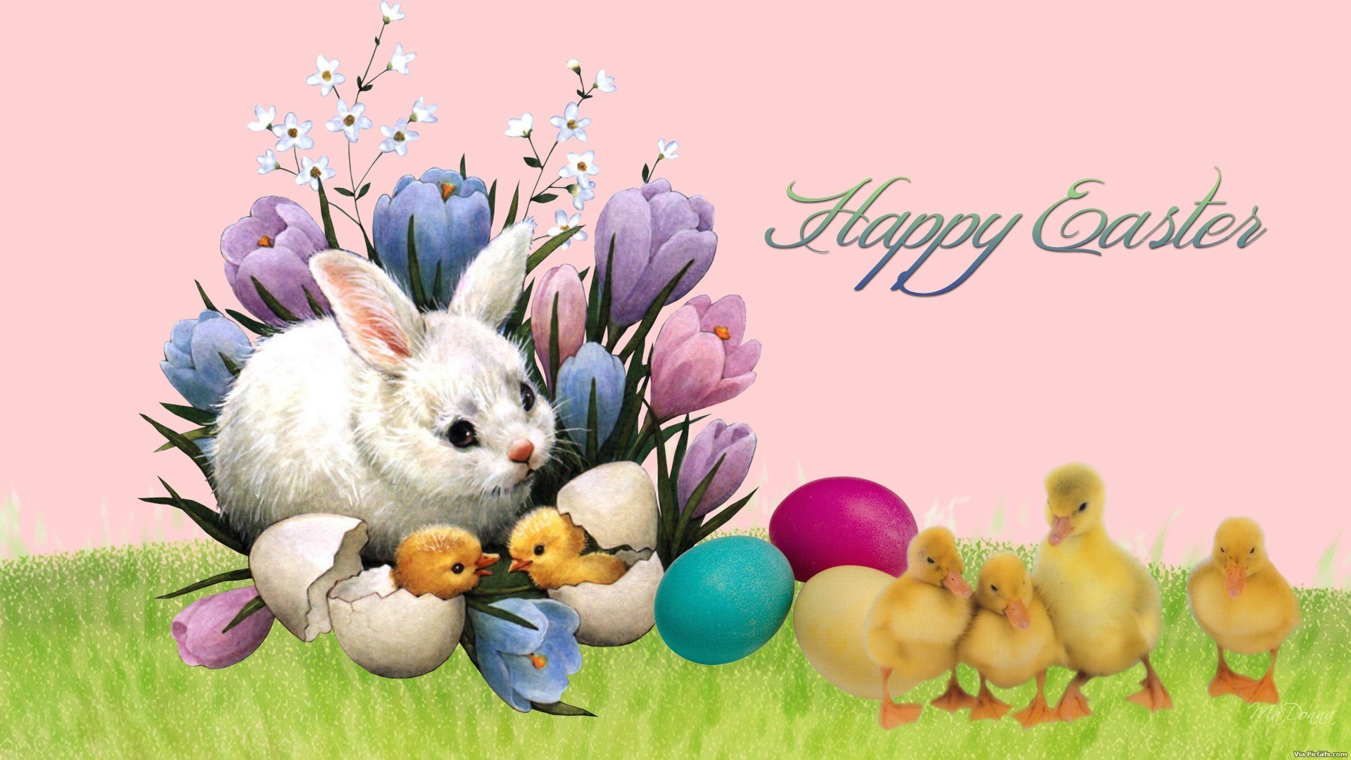 Easter facebook graphics