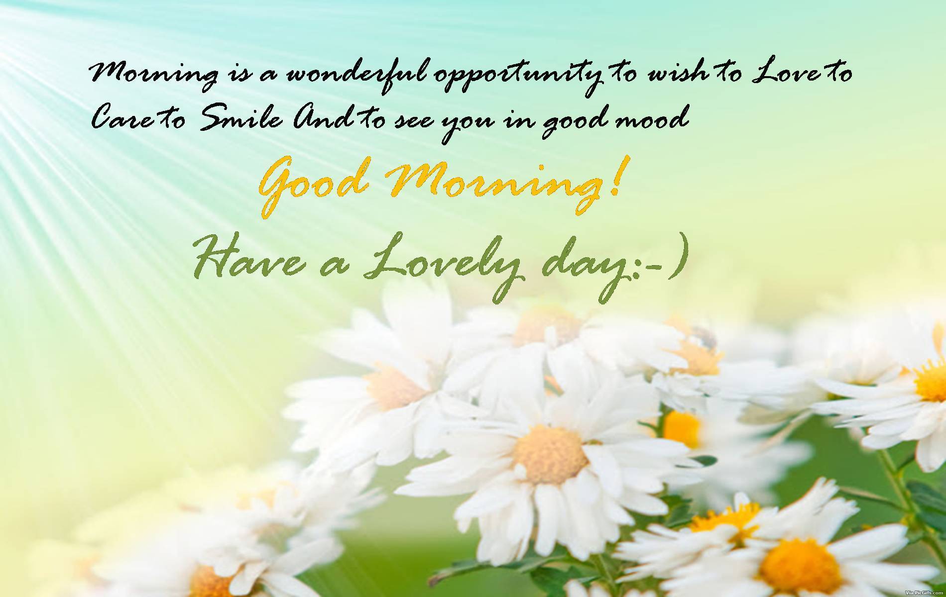 Good morning facebook graphics