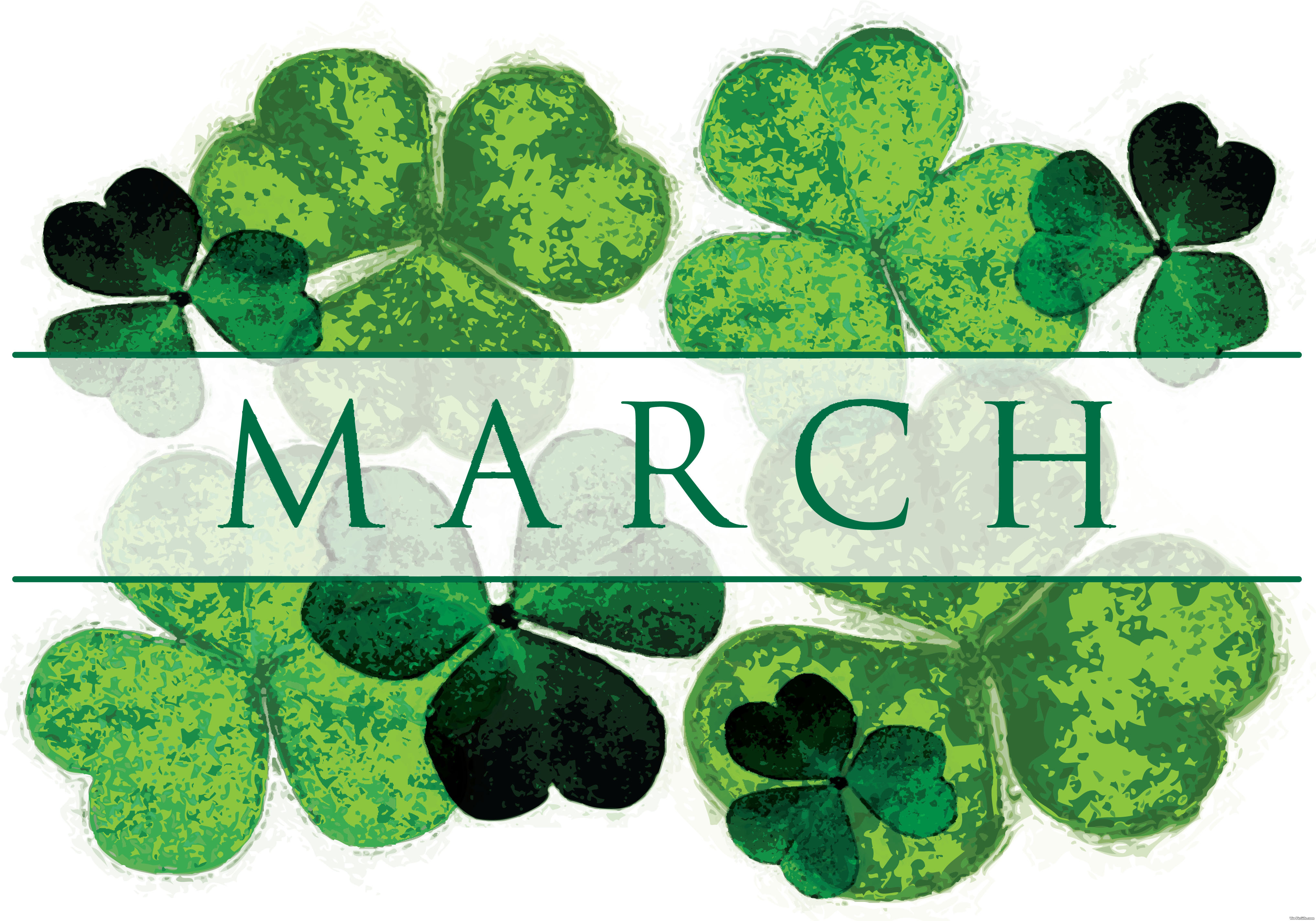 Months facebook graphics