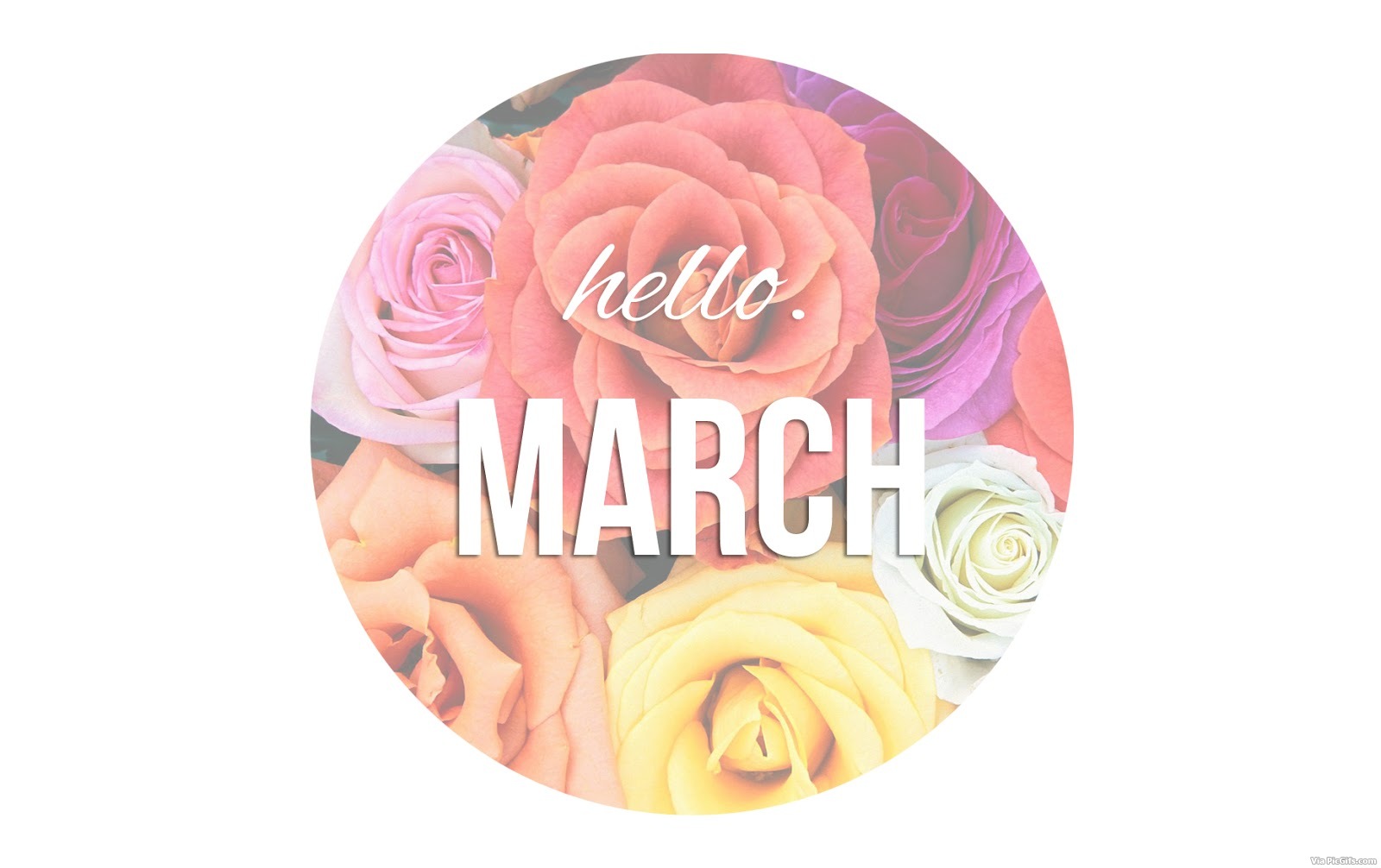 Months facebook graphics
