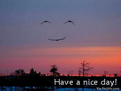 Nice day facebook graphics