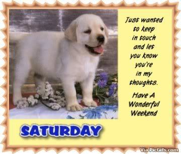 Saturday facebook graphics