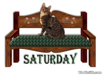 Saturday facebook graphics