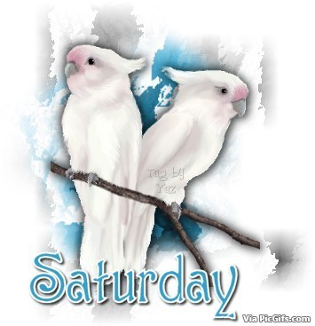 Saturday facebook graphics