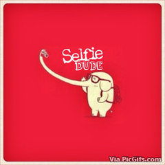 Selfie humor facebook graphics