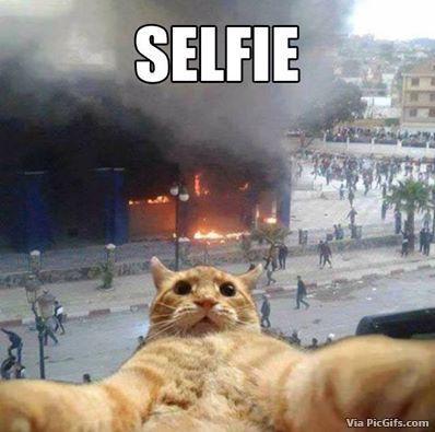 Selfie humor