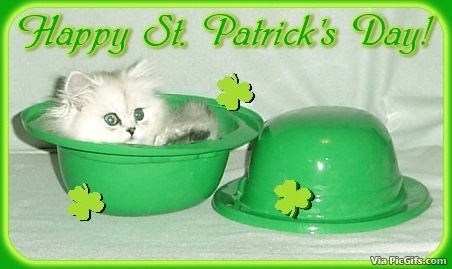 St patricks day facebook graphics