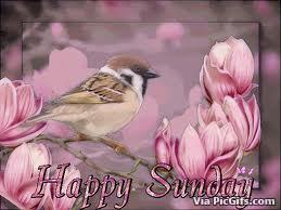 Sunday facebook graphics