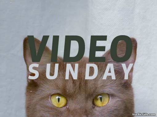 Sunday facebook graphics