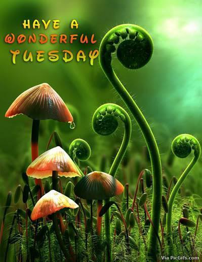 Tuesday