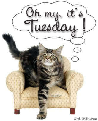 Tuesday facebook graphics