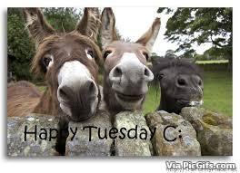 Tuesday facebook graphics