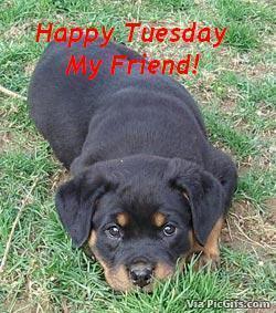 Tuesday facebook graphics