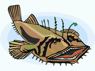 Anglerfish fish graphics