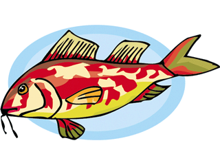 Catfish fish graphics