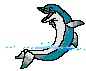 Dolphin fish graphics