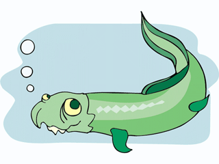 Eel fish graphics