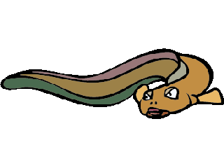 Eel fish graphics