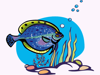Flatfish fish graphics