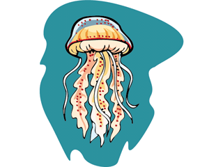 Jellyfish fish graphics