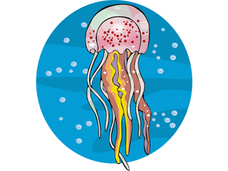 Jellyfish fish graphics