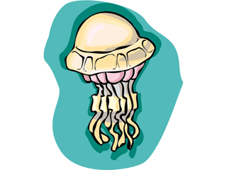 Jellyfish fish graphics