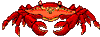 Lobster and crab