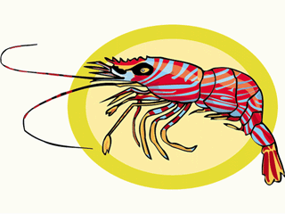 Lobster and crab fish graphics