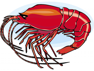 Lobster and crab fish graphics