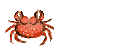 Lobster and crab fish graphics