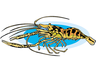 Lobster and crab fish graphics