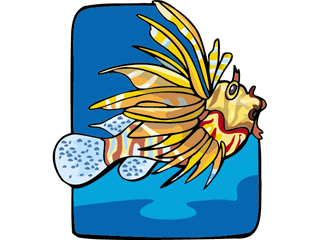 Others fish graphics